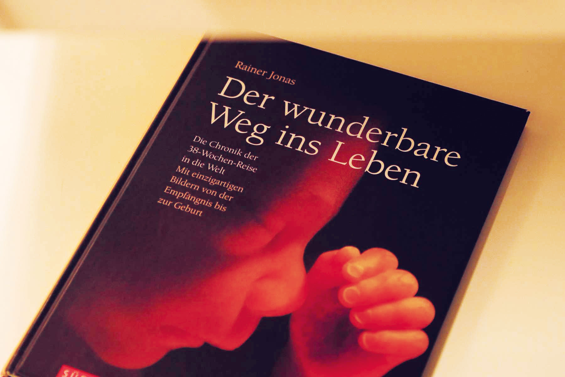 Der Weg ins wunderbare Leben